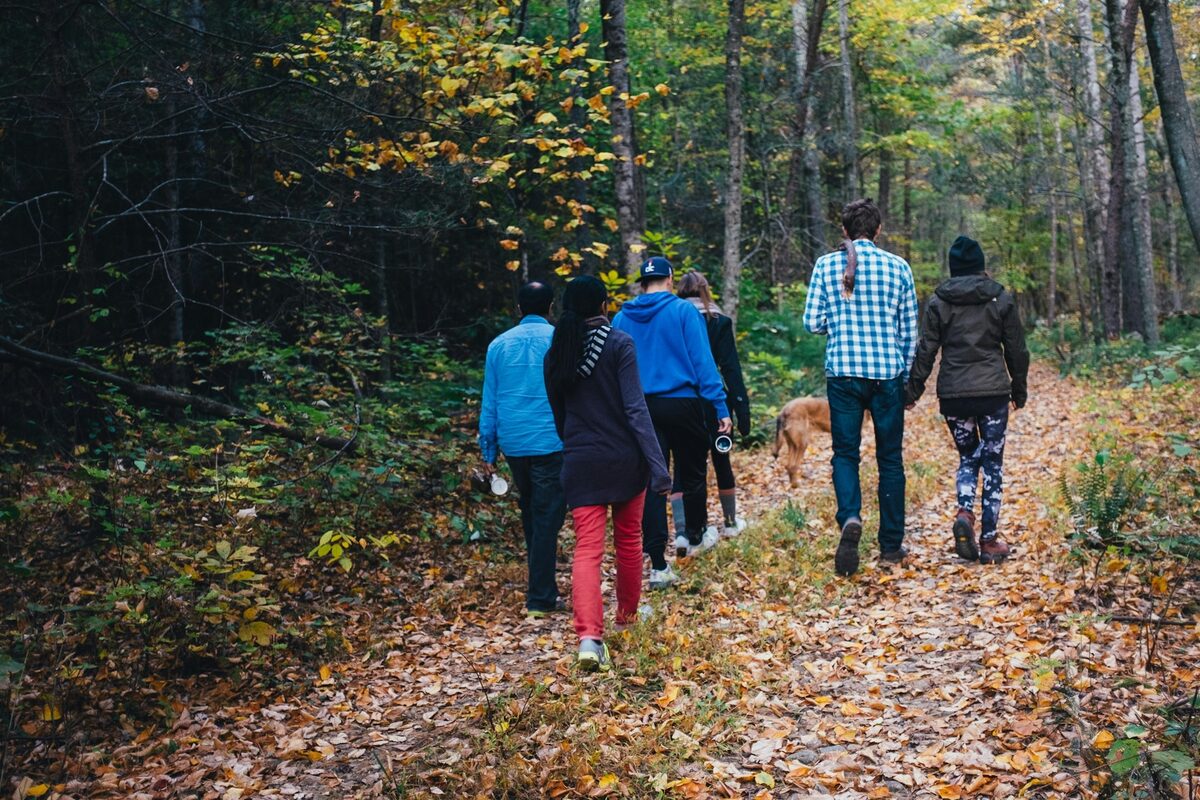 People walking together on a wooded path